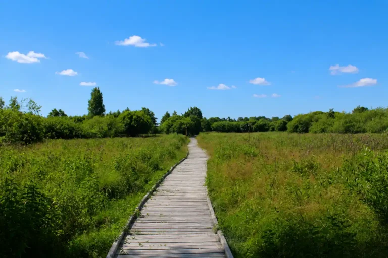 jezioro spływy2